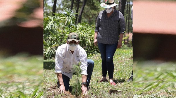 Presidente Hernández destaca la importancia de la reforestación el país