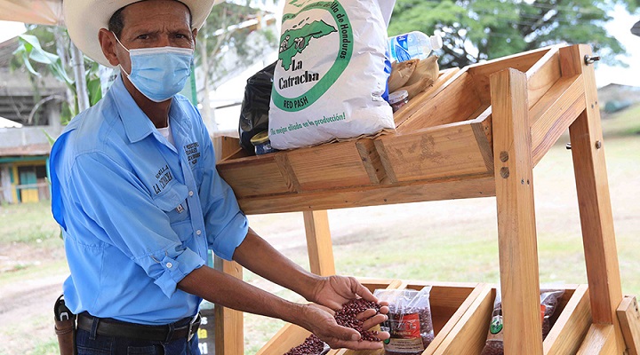 Gobierno realiza millonaria inversión en Olancho para reactivar el agro y la ganadería