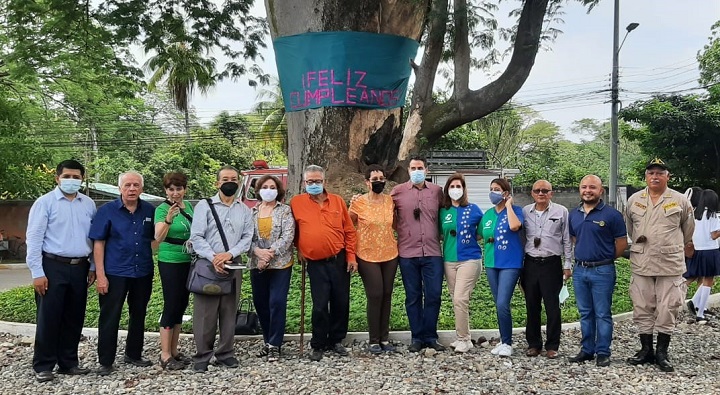 Celebran cumpleaños a longevo árbol de Guanacaste en la Colonia Juan Lindo de San Pedro Sula