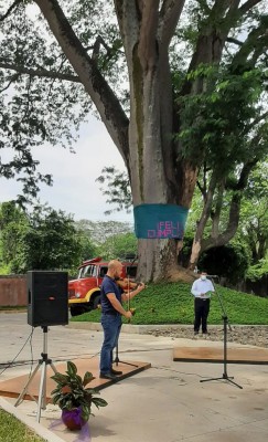 Celebran cumpleaños a longevo árbol de Guanacaste en la Colonia Juan Lindo de San Pedro Sula