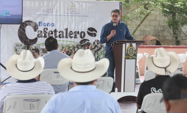 Presidente Hernández entrega 66.432 sacos de fertilizantes a 10.860 caficultores de Lempira