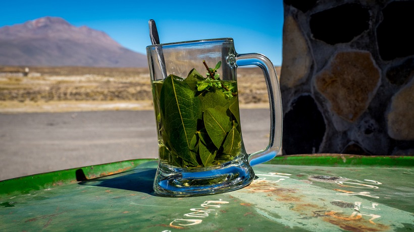 Una líder indígena que fabrica productos de hoja de coca en Colombia denuncia que Coca-Cola le quiere prohibir el nombre de su marca