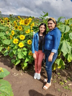 Colaboradores de Aptiv Services disfrutan de la belleza del "Paseo de los Girasoles" en Copán Ruinas