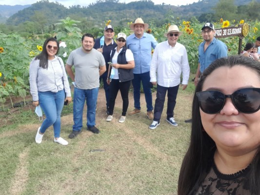 Colaboradores de Aptiv Services disfrutan de la belleza del "Paseo de los Girasoles" en Copán Ruinas