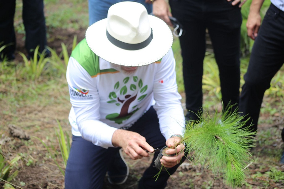 Alcaldía de San Pedro Sula lanzan Campaña de Reforestación en la Zona de Reserva de El Merendón