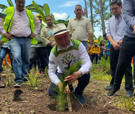 Alcaldía de San Pedro Sula lanzan Campaña de Reforestación en la Zona de Reserva de El Merendón