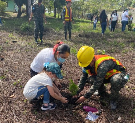 Realizan jornada de reforestación en el sector Rio Blanco de San Pedro Sula