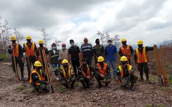 Realizan jornada de reforestación en el sector Rio Blanco de San Pedro Sula