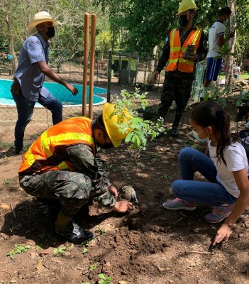 Realizan jornada de reforestación en el sector Rio Blanco de San Pedro Sula