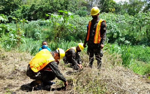 Realizan jornada de reforestación en el sector Rio Blanco de San Pedro Sula