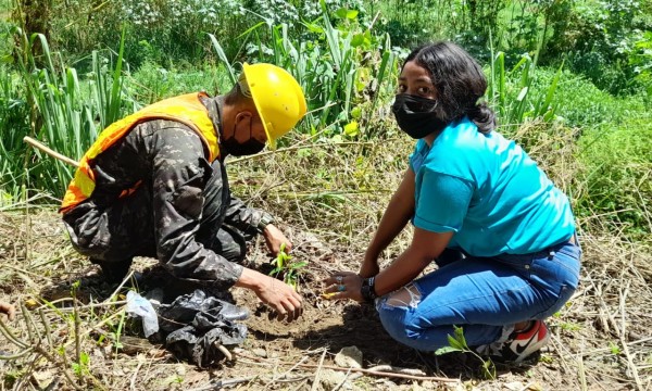 Realizan jornada de reforestación en el sector Rio Blanco de San Pedro Sula