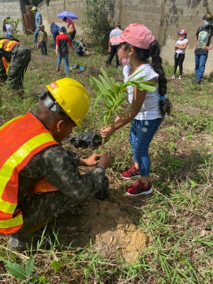 Realizan jornada de reforestación en el sector Rio Blanco de San Pedro Sula