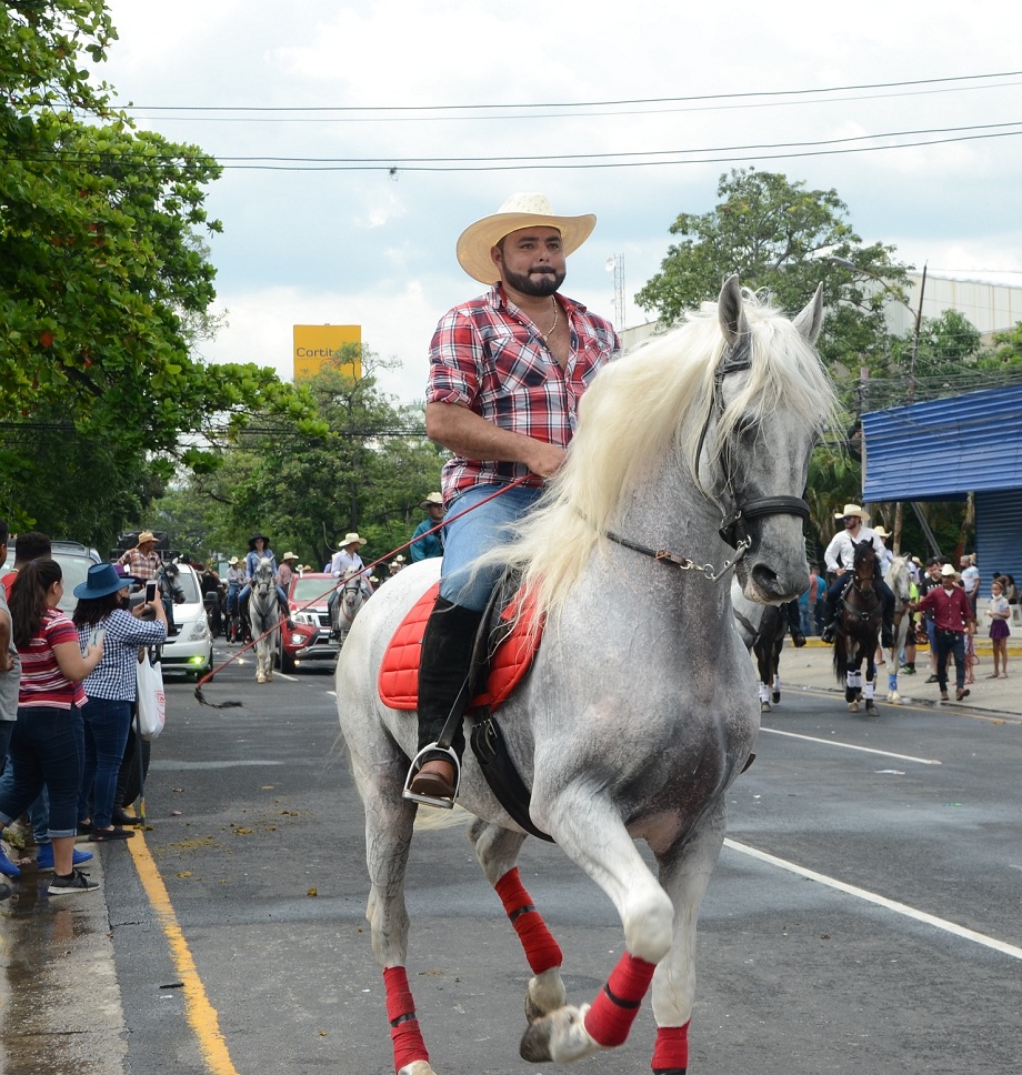 Colorido desfile hípico de la AGAS encanta a los sampedranos