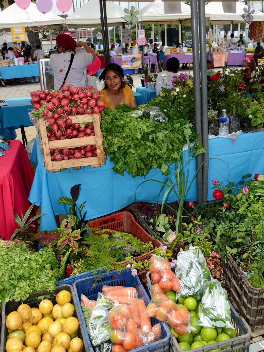 Realizan feria de emprendedores “Yo emprendo en mi tierra” en Plaza de las banderas