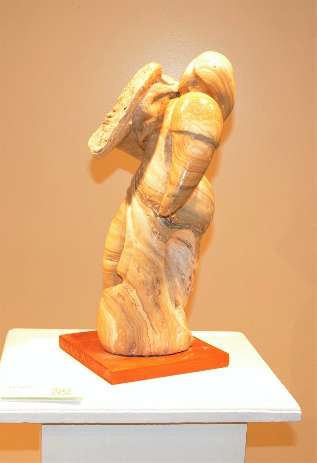 “Nuestras Raíces” exposición escultórica del artista Deyvis Umaña se exhibe en el CCS