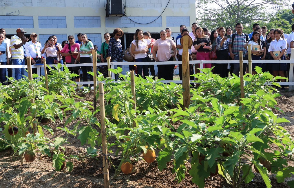 Lanzan segunda edición del programa Huertos Escolares en San Pedro Sula