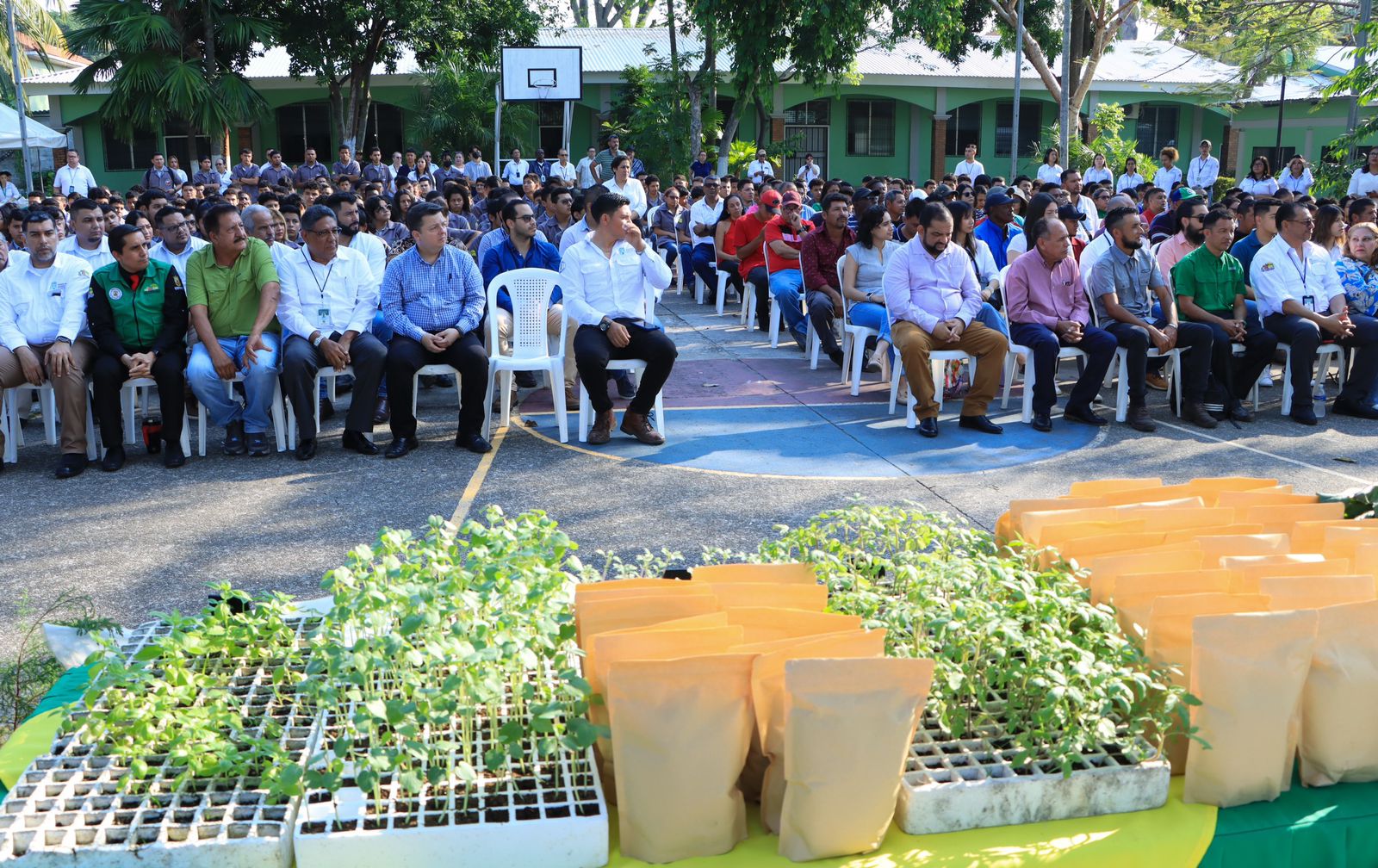 Lanzan segunda edición del programa Huertos Escolares en San Pedro Sula