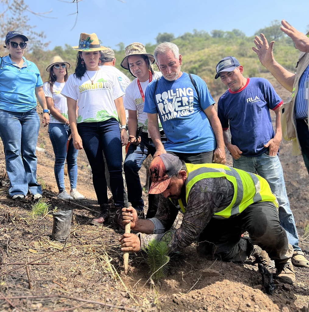 Supermercados Colonial se une al Sembrathon 2023 para reforestar un sector de Cofradía