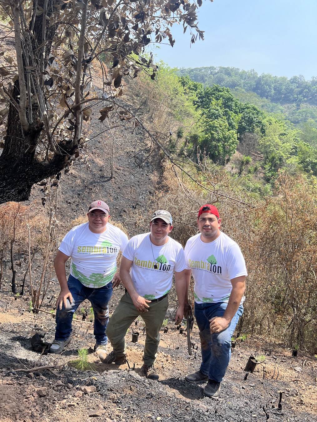 Supermercados Colonial se une al Sembrathon 2023 para reforestar un sector de Cofradía