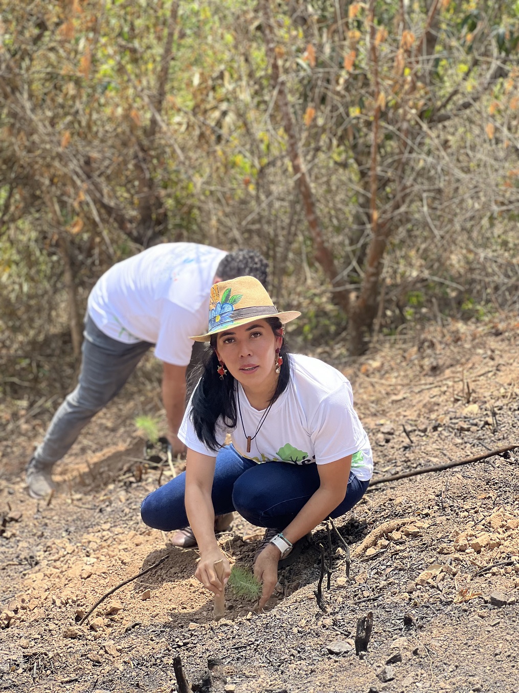 Supermercados Colonial se une al Sembrathon 2023 para reforestar un sector de Cofradía