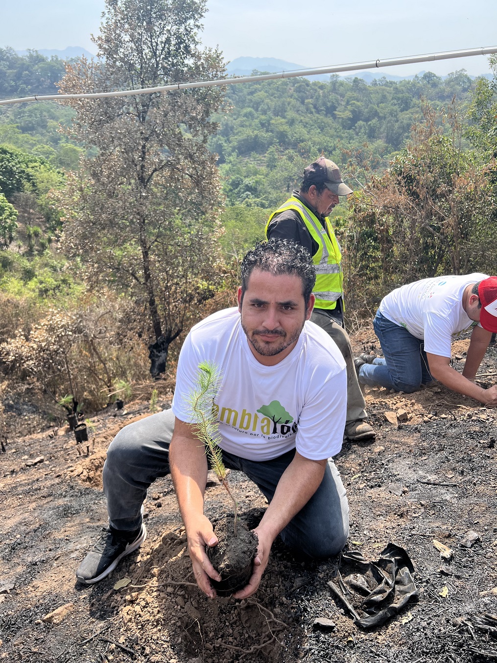 Supermercados Colonial se une al Sembrathon 2023 para reforestar un sector de Cofradía