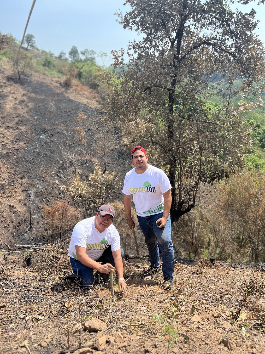 Supermercados Colonial se une al Sembrathon 2023 para reforestar un sector de Cofradía