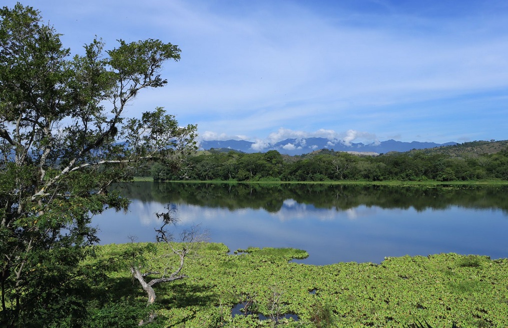 Laguna de Jucutuma es declarada Sitio de Importancia para la Vida Silvestre