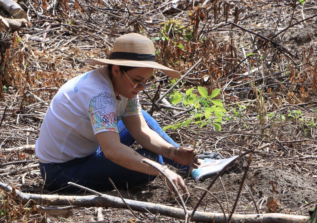 Ejecutan jornada de reforestación en Zona de Reserva de El Merendón