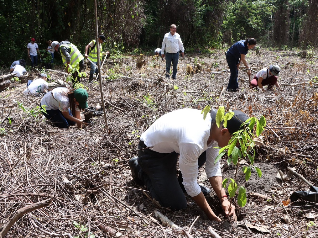 Ejecutan jornada de reforestación en Zona de Reserva de El Merendón