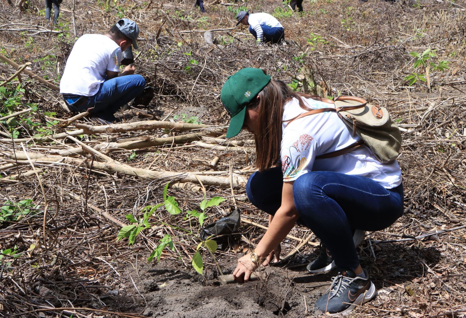 Ejecutan jornada de reforestación en Zona de Reserva de El Merendón