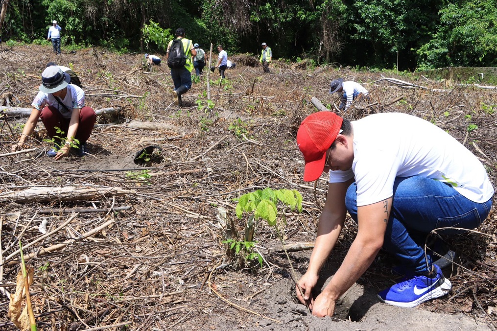 Ejecutan jornada de reforestación en Zona de Reserva de El Merendón